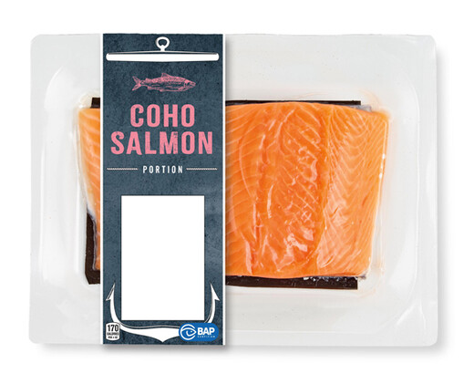 Coho Salmon