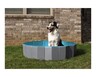 Heart to Tail Large Collapsible Pet Pool In Use