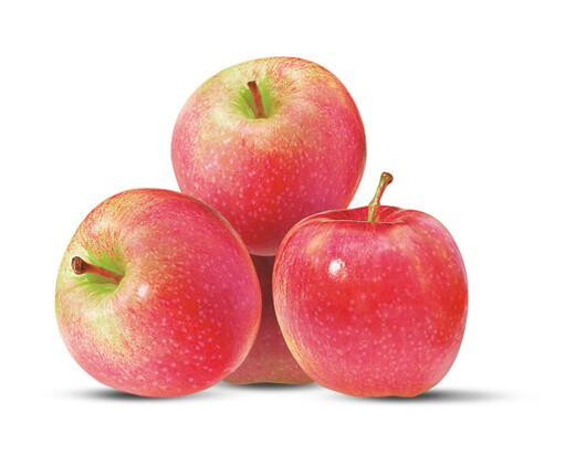 Apples, Pink Lady