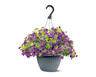 10&quot; Purple Calibrachoa Hanging Basket