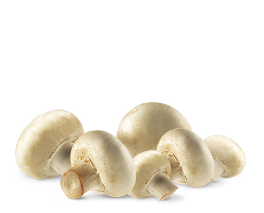 Prepacked mushrooms in a punnet covered with clear plastic