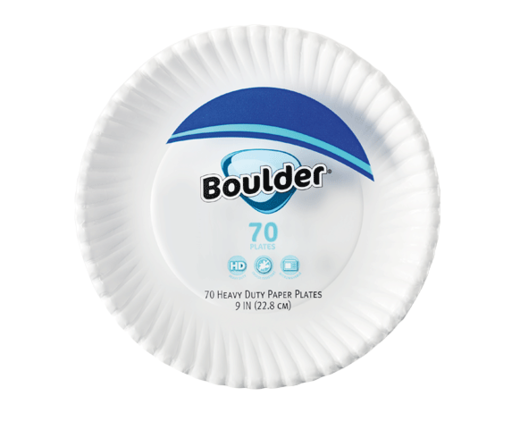 Boulder Decorated Paper Plate - 45 ct