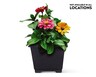 8&quot; Patio Planter View 5. Not available in all locations