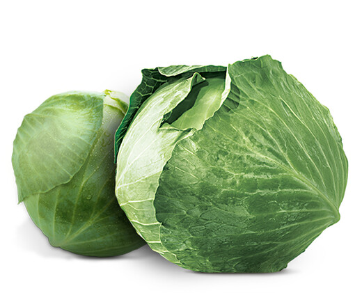 Cabbage