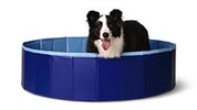 Heart to Tail Large Collapsible Pet Pool