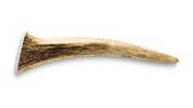 Pure Being Whole or Split Antler