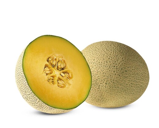 Cantaloupe