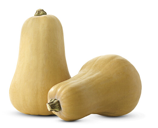 Butternut Squash