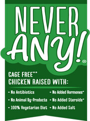 Never Any! Logo