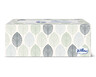 Willow 2-Ply Facial Tissue Fall Leaves