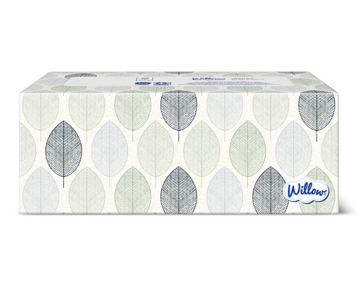 Willow 2-Ply Facial Tissue Fall Leaves