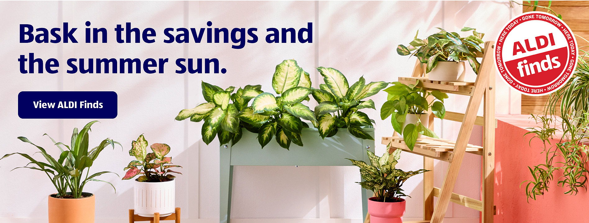 Bask in the savings and the summer sun. View ALDI Finds.