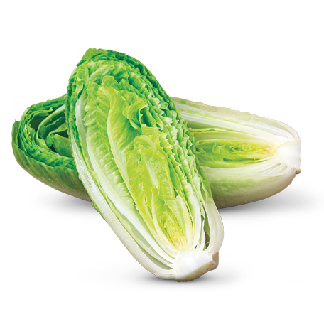 https://www.aldi.us/fileadmin/fm-dam/Products/Categories/Fresh_Produce/Vegetables_and_Salad/romaine-teaser.jpg