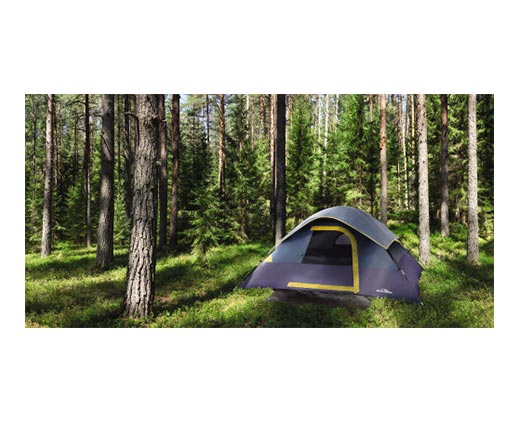 Adventuridge 4-Person Tent Blue In Use