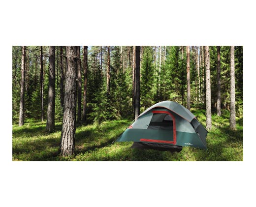 Adventuridge 4-Person Tent Green In Use