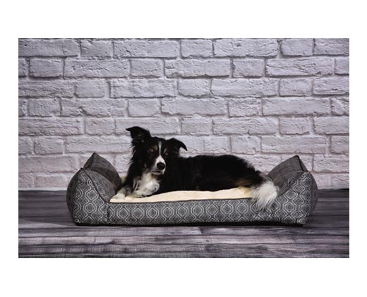 Heart to Tail Bolster Pet Bed Gray In Use