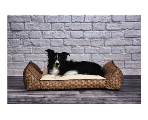 Heart to Tail Bolster Pet Bed Tan In Use