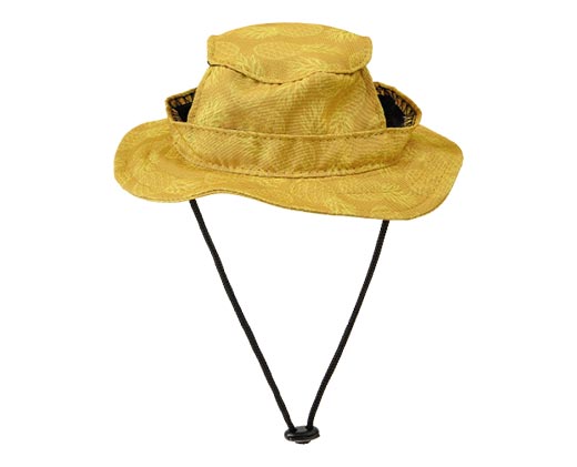Heart to Tail Pet Hat Pineapple