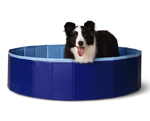 Heart to Tail Large Collapsible Pet Pool In Use View 1