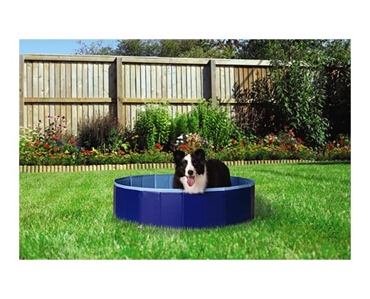 Heart to Tail Large Collapsible Pet Pool In Use View 2